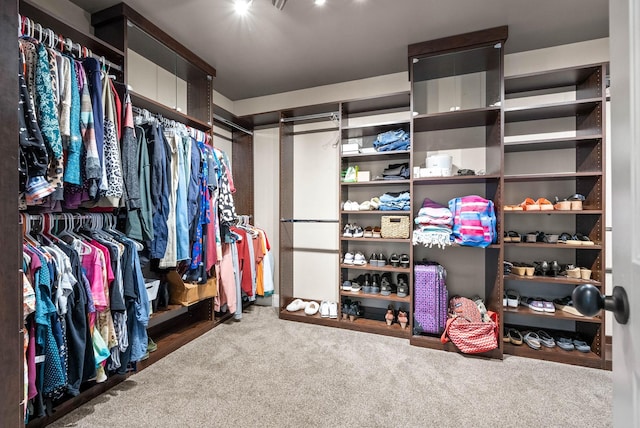 walk in closet with carpet flooring