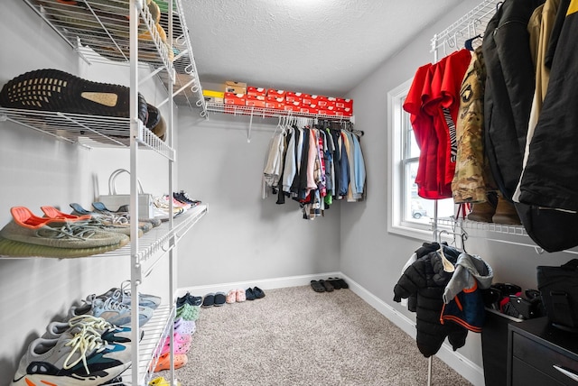 spacious closet featuring carpet floors