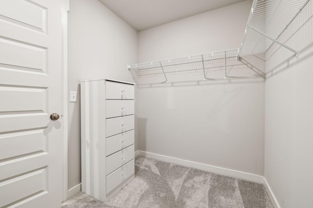 spacious closet with light colored carpet