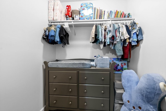 view of spacious closet