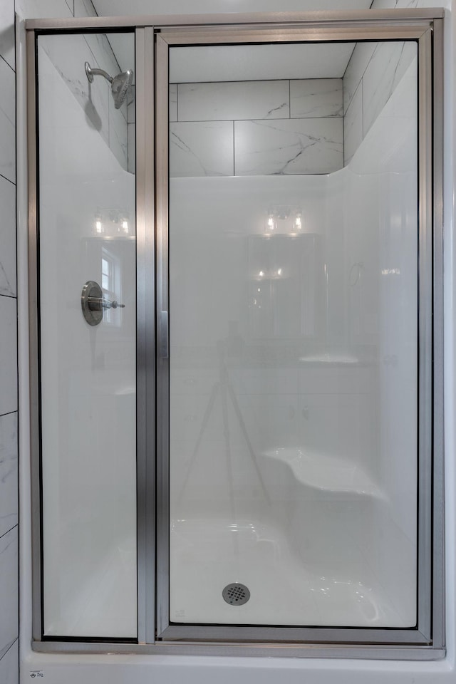 bathroom featuring a shower with shower door