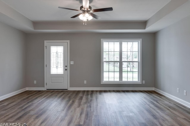 foyer entrance featuring a raised ceiling, dark hardwood / wood-style floors, and a healthy amount of sunlight