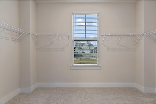 walk in closet with light carpet