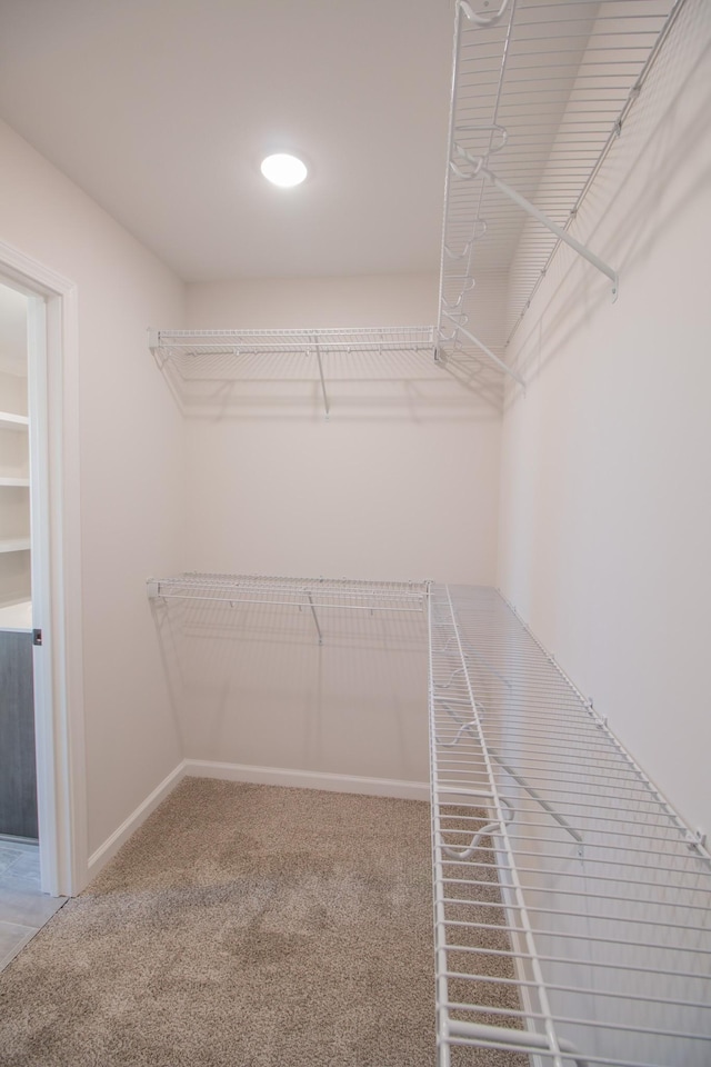 spacious closet featuring carpet flooring