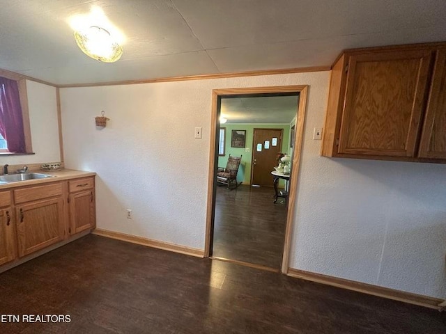 kitchen with crown molding, sink, and dark hardwood / wood-style floors