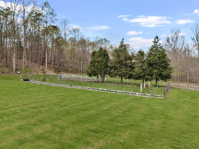 view of yard with a rural view