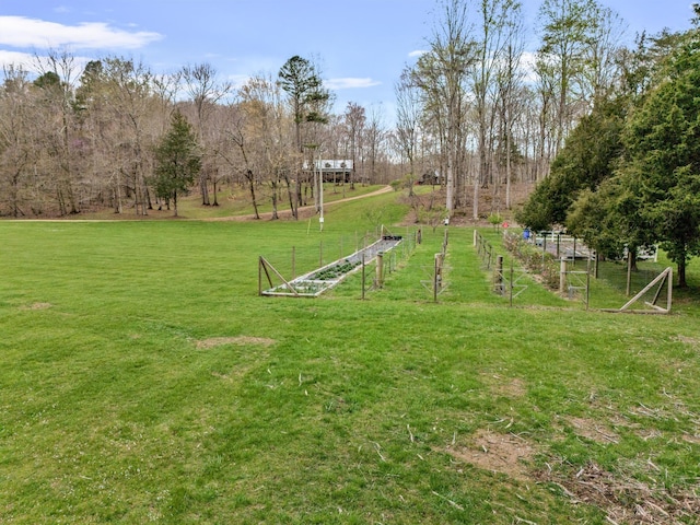 view of yard with a rural view