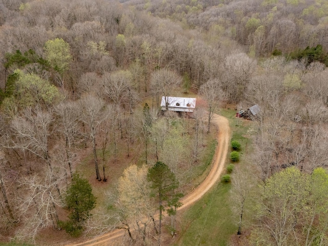 bird's eye view