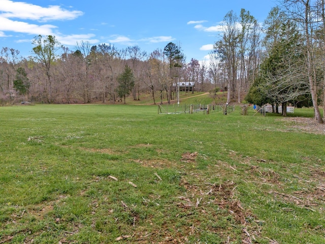 view of yard featuring a rural view