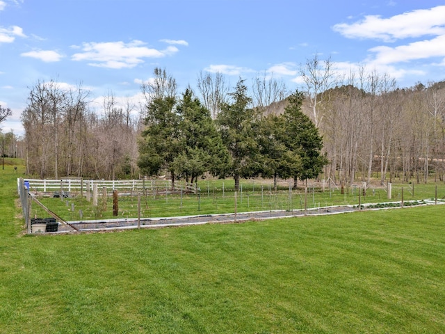 view of yard with a rural view