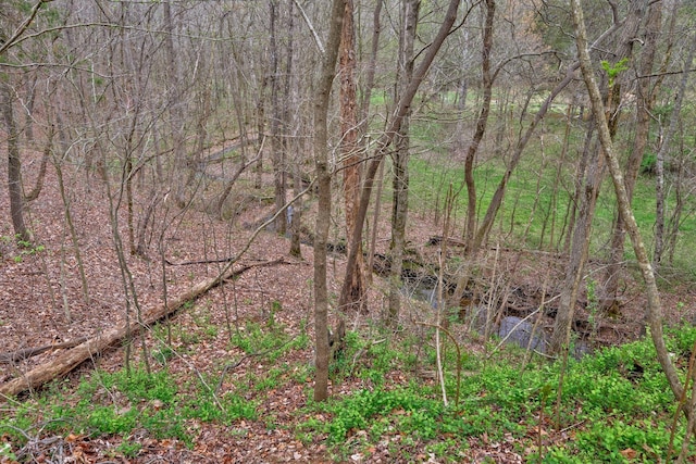 view of landscape