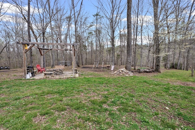 view of yard with an outdoor fire pit and a playground