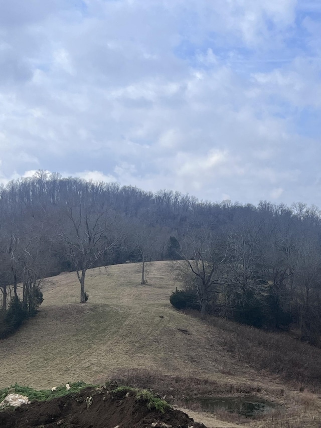 Listing photo 3 for 0 Oakley Rd, Liberty TN 37095