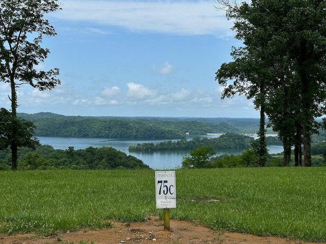 Listing photo 3 for 75C Swan Ridge Rd, Hilham TN 38568