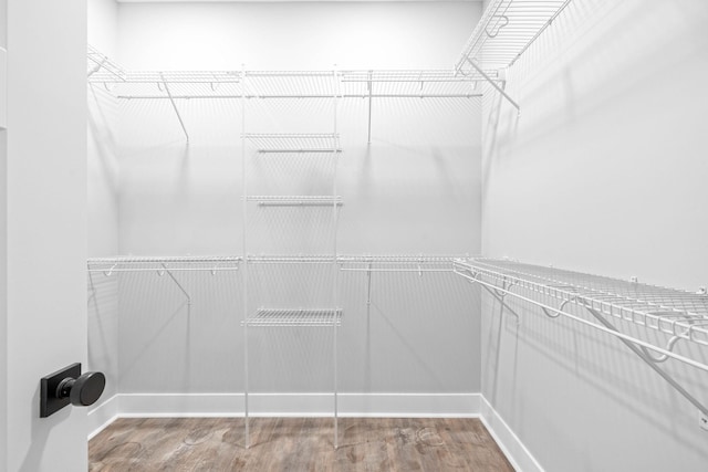 spacious closet featuring wood-type flooring