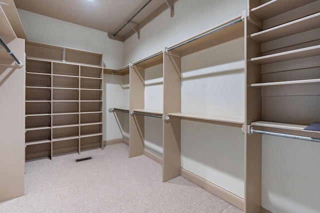 spacious closet with light carpet