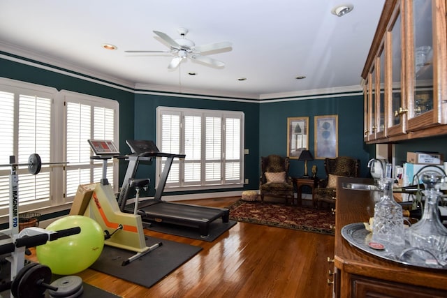 exercise area with ornamental molding, plenty of natural light, dark hardwood / wood-style flooring, and sink