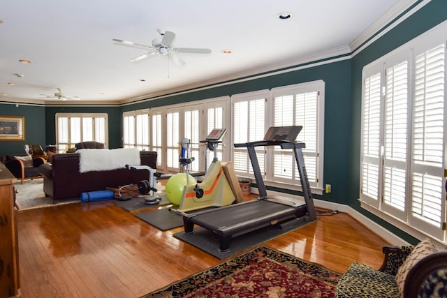 workout area featuring crown molding, a wealth of natural light, ceiling fan, and hardwood / wood-style flooring