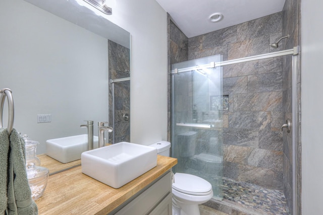 bathroom featuring toilet, vanity, and a shower with shower door