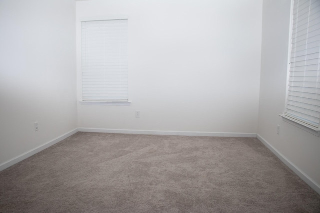 spare room with carpet