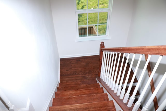 stairs with wood-type flooring