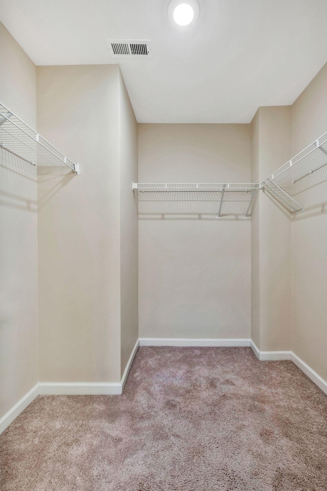 walk in closet featuring carpet floors