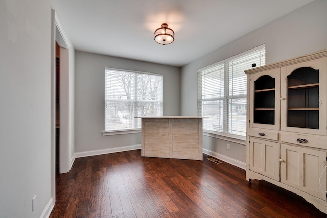 interior space featuring dark wood-type flooring