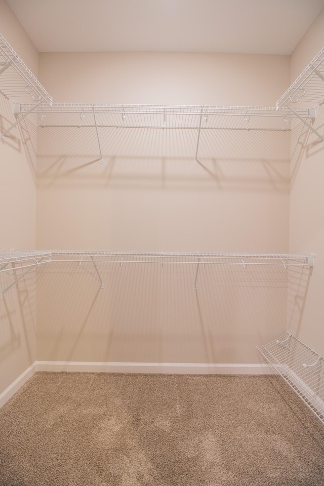 walk in closet with carpet