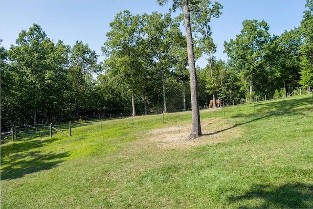 view of yard featuring a rural view