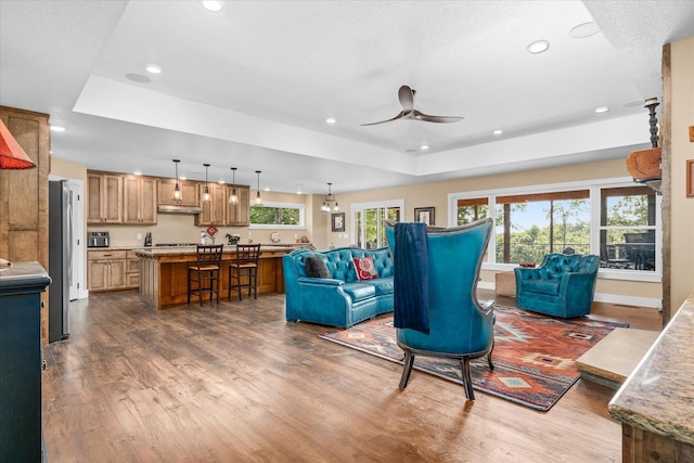 living room with a raised ceiling, wood-type flooring, and plenty of natural light