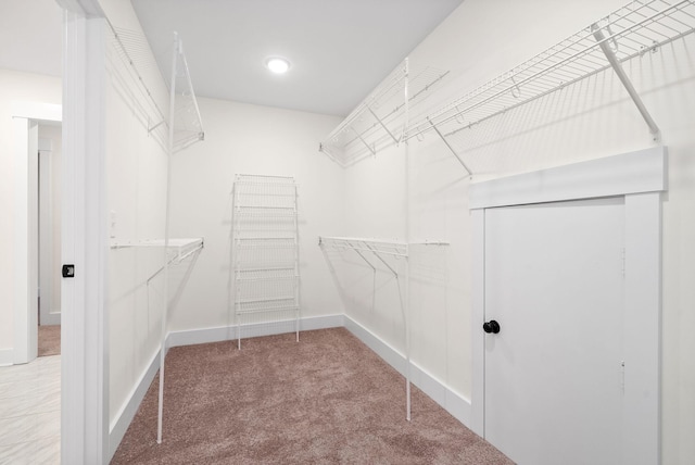 walk in closet with carpet flooring