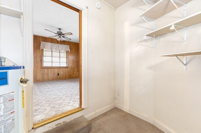 walk in closet featuring gas water heater, ceiling fan, and carpet