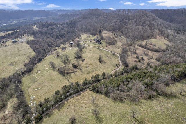 bird's eye view featuring a mountain view