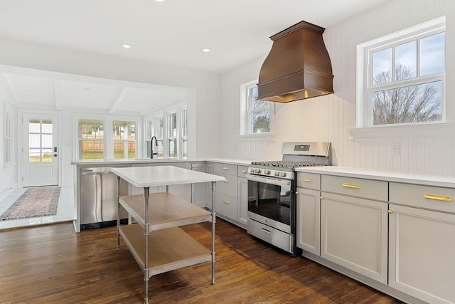 kitchen with appliances with stainless steel finishes, dark hardwood / wood-style flooring, sink, and custom exhaust hood