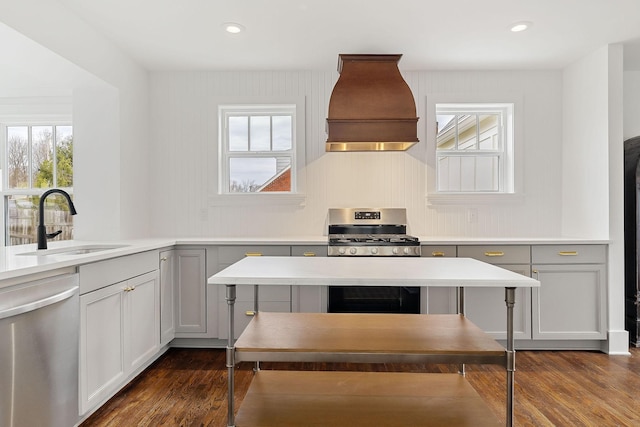 kitchen featuring dark hardwood / wood-style floors, sink, gray cabinetry, custom exhaust hood, and stainless steel appliances