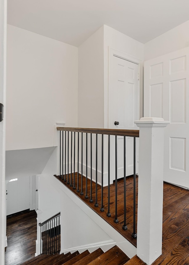 stairs with hardwood / wood-style flooring