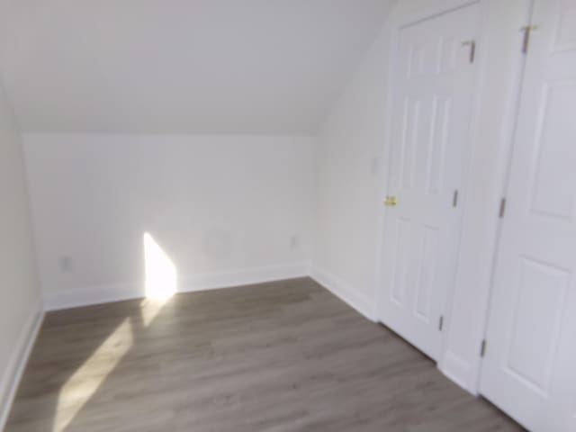 bonus room featuring lofted ceiling and dark wood-type flooring