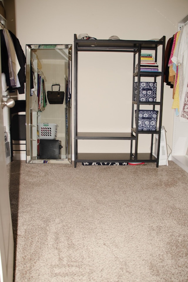 home theater room with carpet