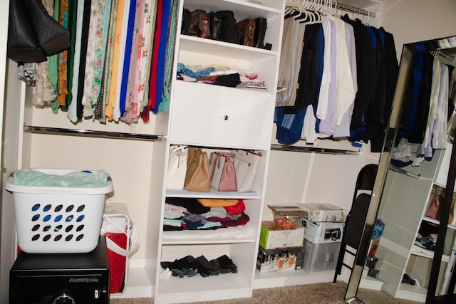 view of walk in closet