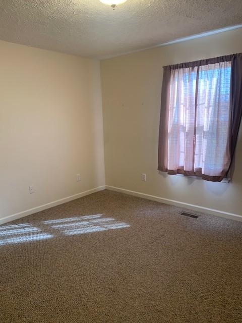 spare room featuring carpet and a textured ceiling