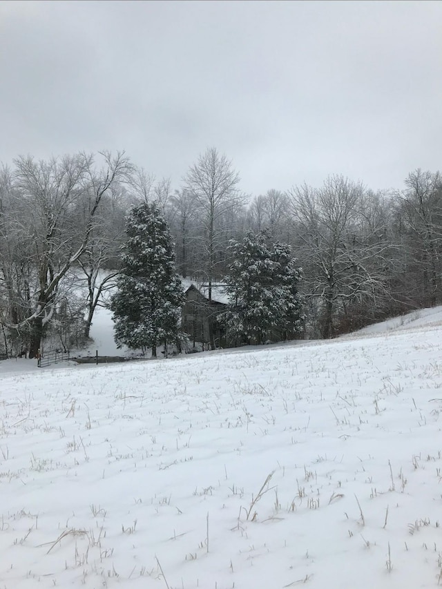 view of yard covered in snow