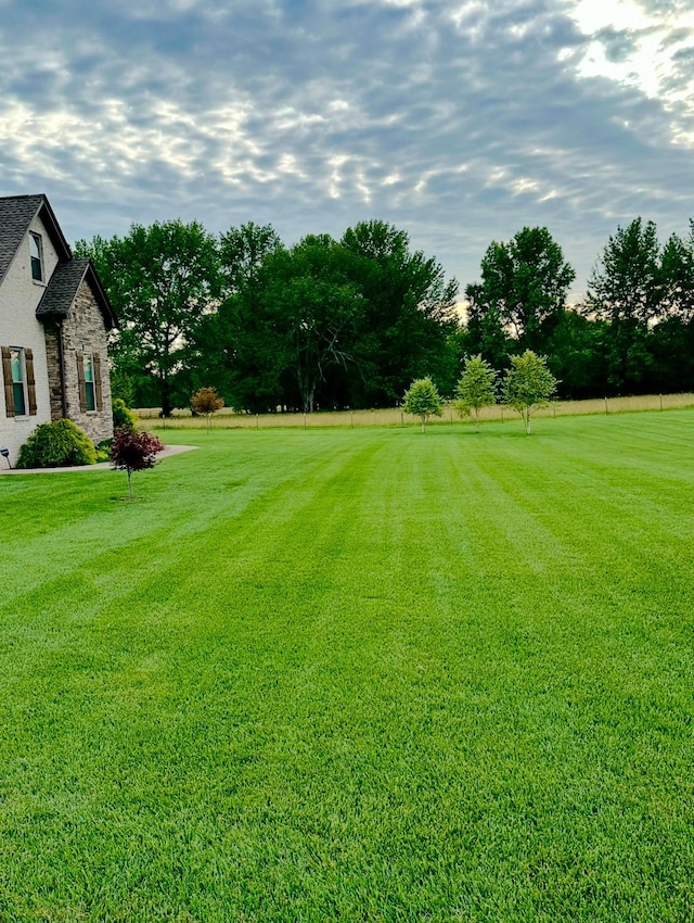 view of yard