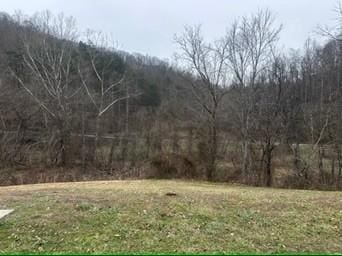 view of local wilderness featuring a forest view