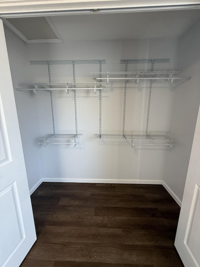 walk in closet with dark hardwood / wood-style flooring