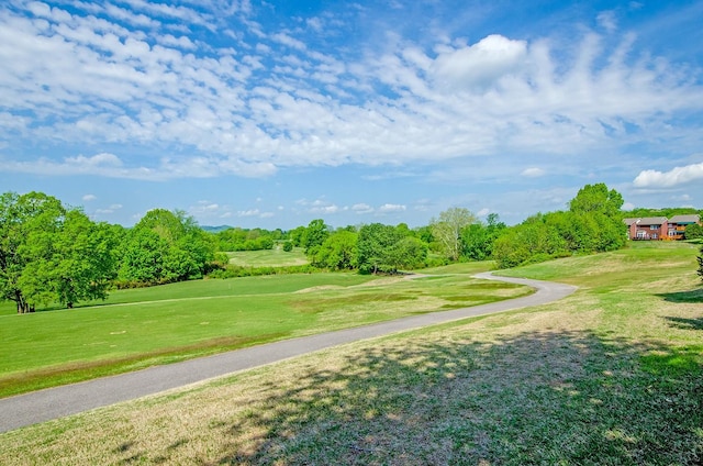 view of home's community with a yard