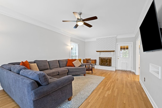 living room featuring a fireplace, ornamental molding, ceiling fan, and light wood-type flooring