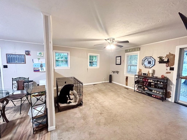 misc room with ceiling fan, crown molding, carpet floors, and a textured ceiling