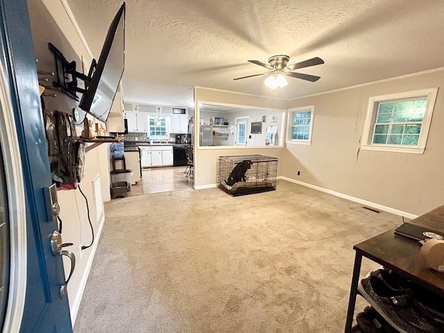 carpeted living room featuring ceiling fan, ornamental molding, and a textured ceiling