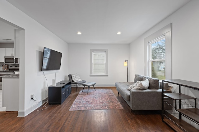 living room with dark wood-type flooring