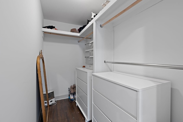 walk in closet with dark hardwood / wood-style floors